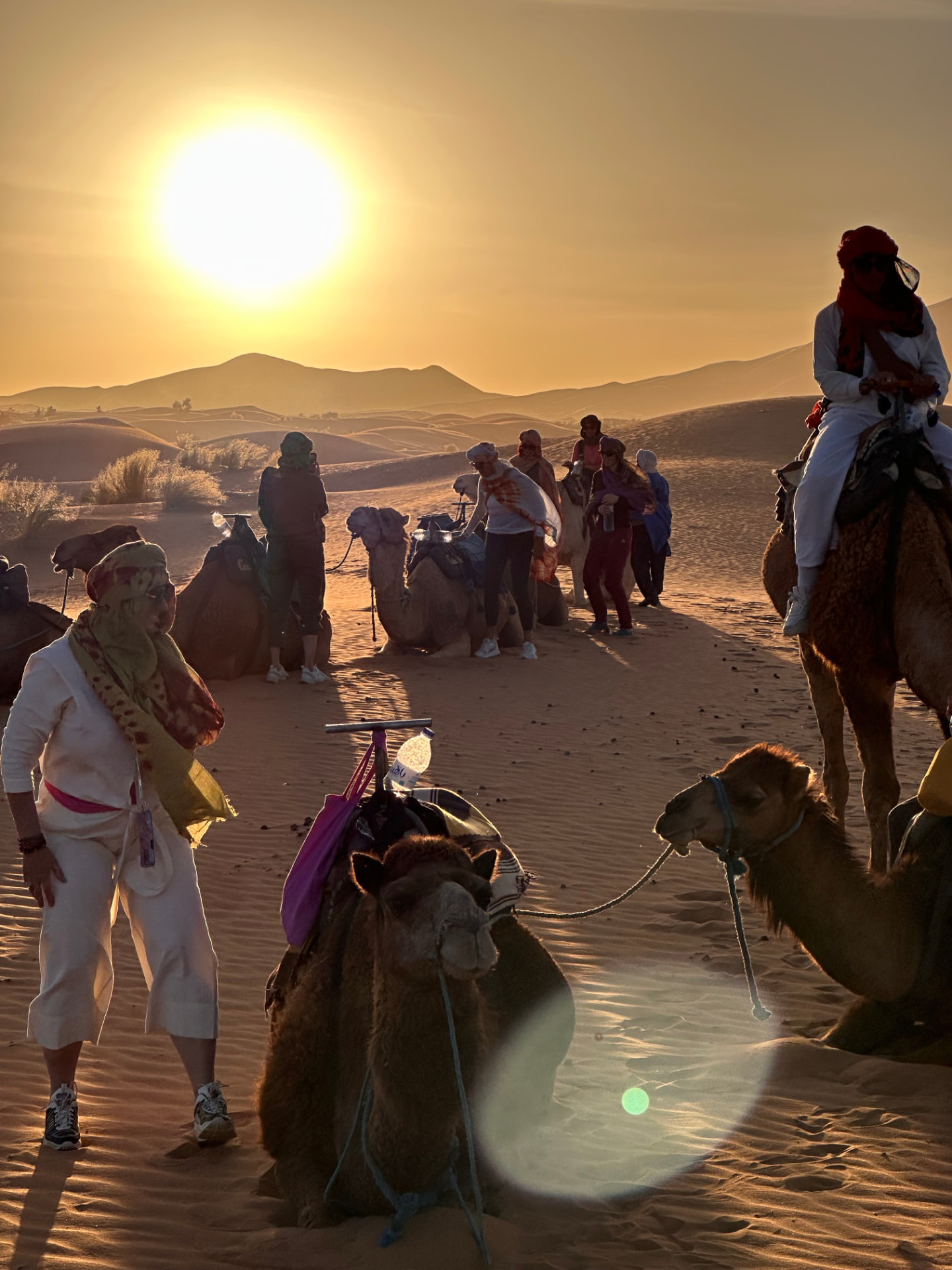 Gruppe mit Kamelen beim Sonnenaufgang in der Wüste