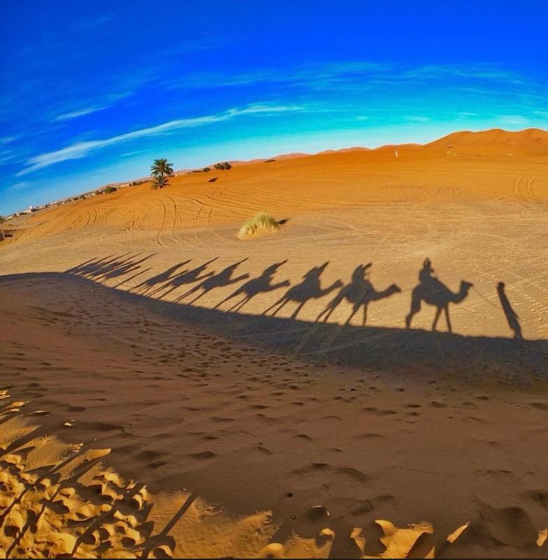 Schatten der Karawane auf dem Sand