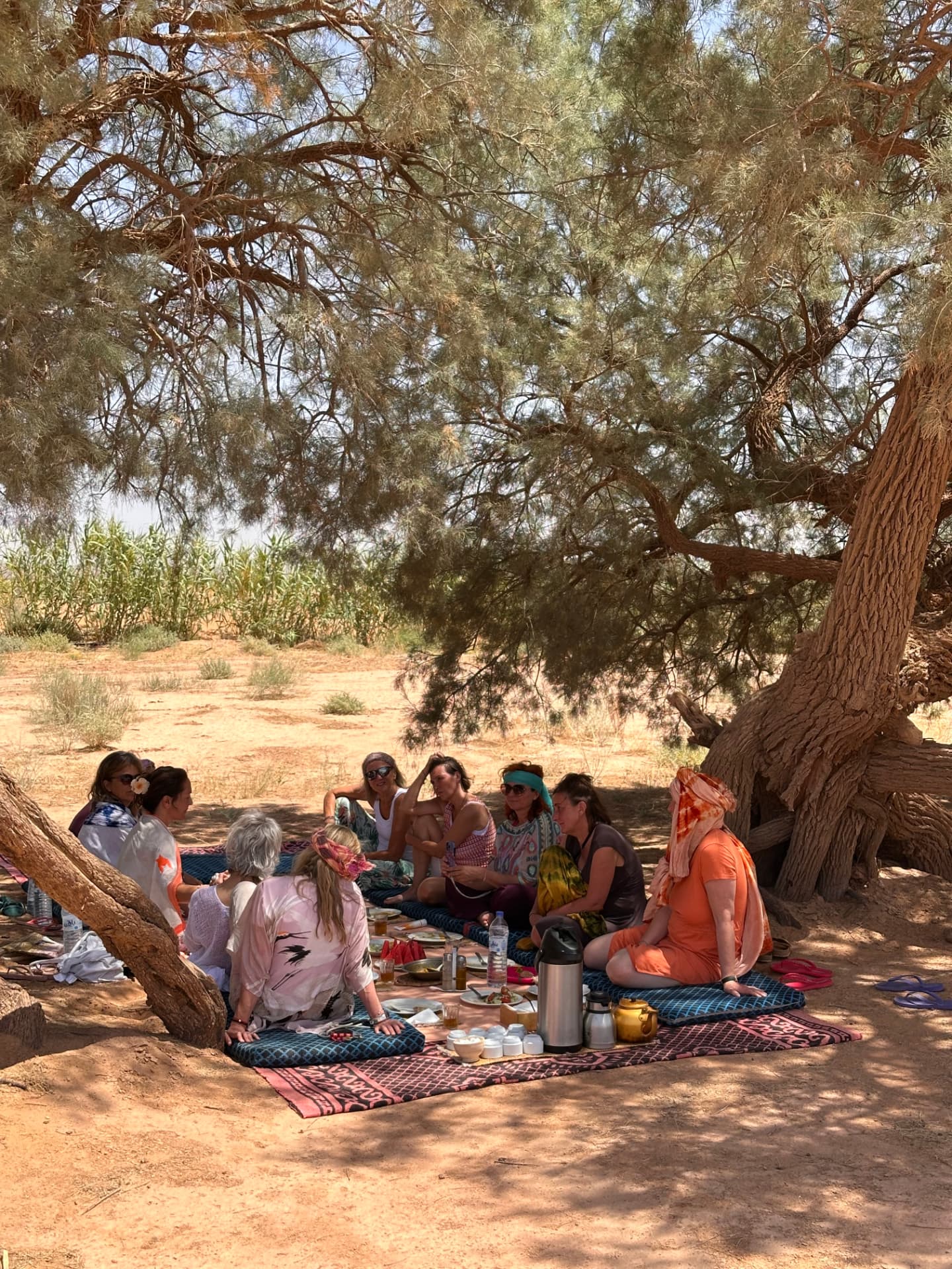 Picknick im Schatten der Tamariske